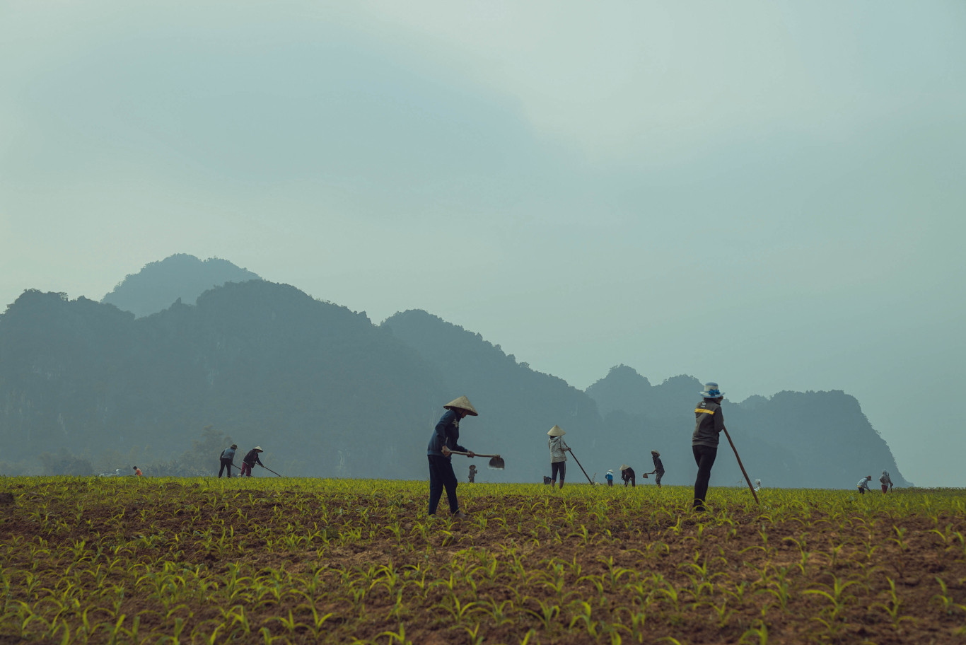 Làng quê không có tệ nạn xã hội cùng cộng đồng người dân thân thiện, chất phác sống chan hòa với tự nhiên sẽ là mô hình du lịch cộng đồng bền vững - Ảnh: Hoàng An